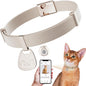 Cat Collar with QR Code Name Tag, Breakaway Kitten Collar by typecase