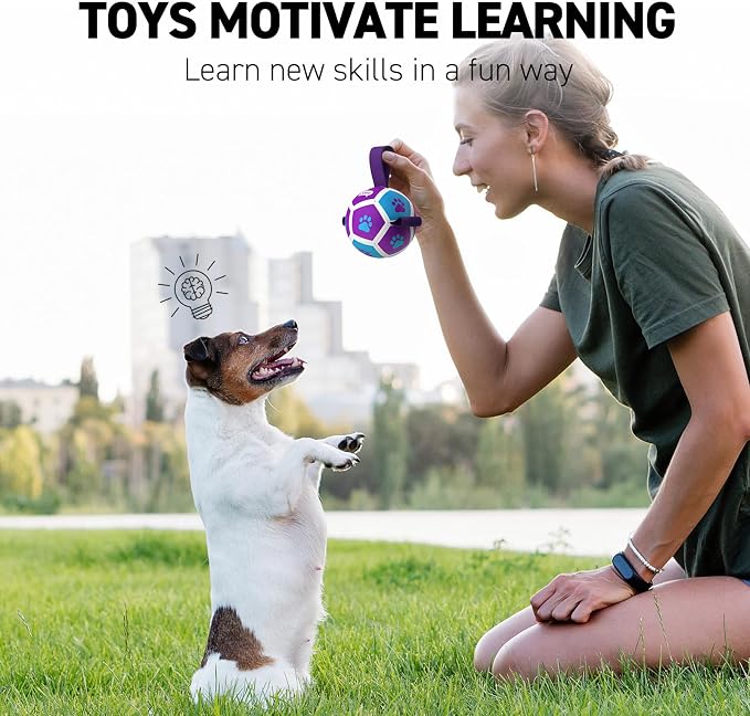 QDAN Small Dog Toys, Puppy Balls, Dog Balls - Image 8