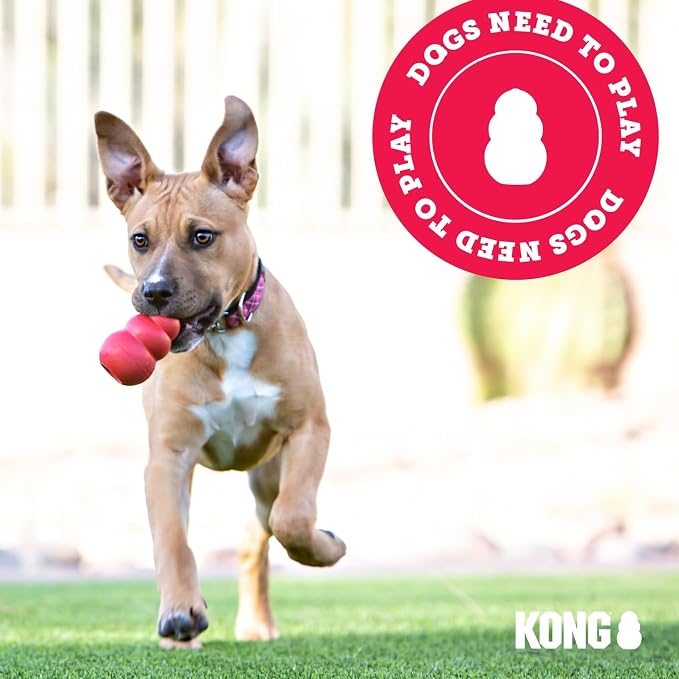 KONG Puppy - Natural Teething Rubber Chew Toy - Image 9