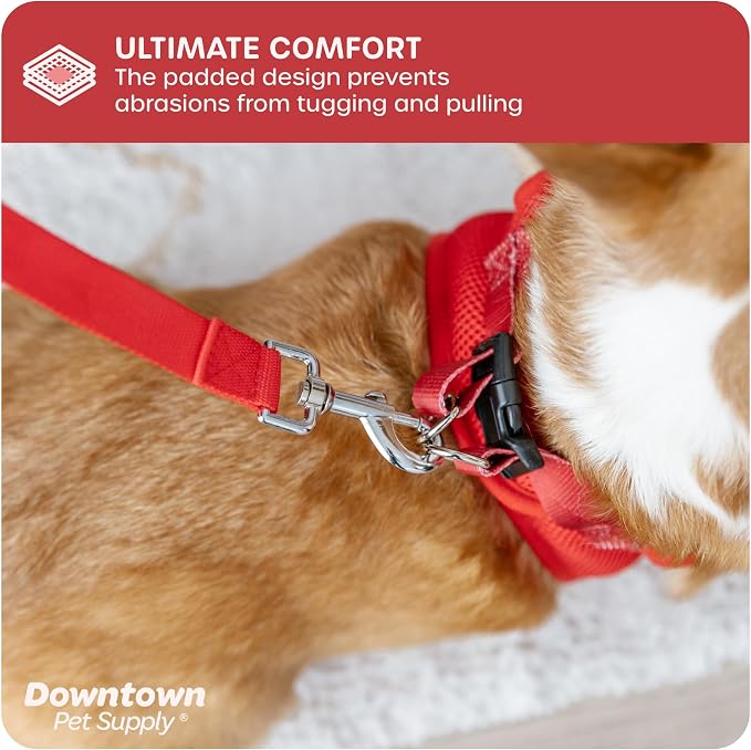 Downtown Pet Supply Step in Dog Harness No Pull - Image 6