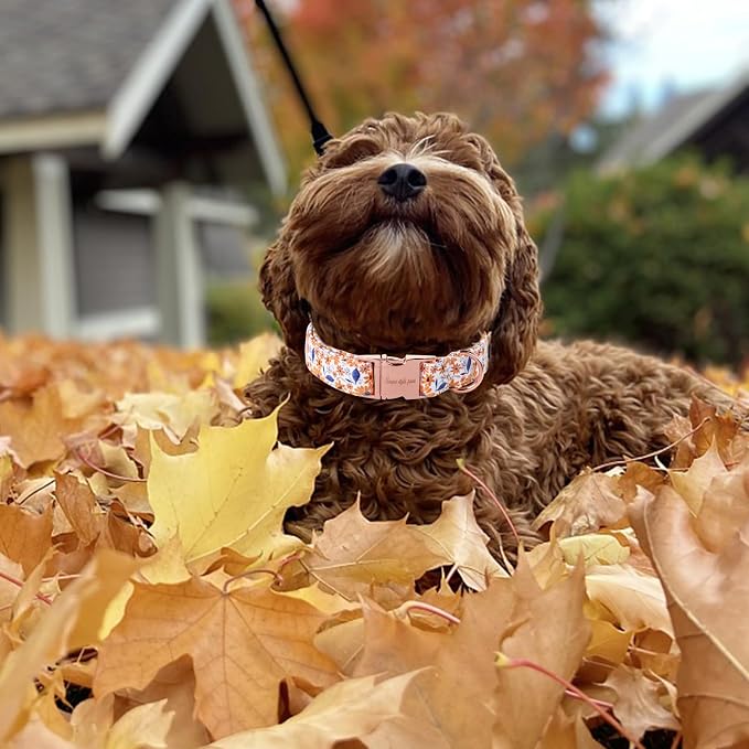 Unique style paws Dog Collar Metal Buckle Collar - Image 4