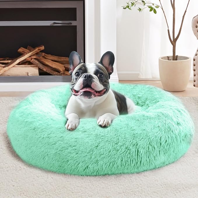 JOLLYVOGUE Calming Small Dog & Cat Bed by JOLLYVOGUE