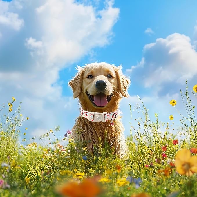Ladybug Dog Collar for Large Dogs - Image 7