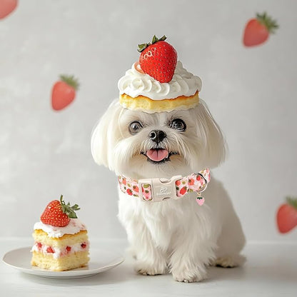 Strawberry Dog Collar for Small Dogs - Image 7