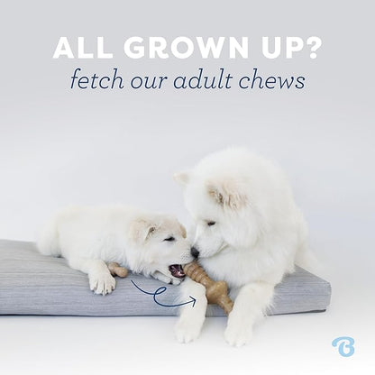 Benebone Puppy 2-Pack Dental Chew/Wishbone Dog Chew Toys, Made in USA, Real - Image 5