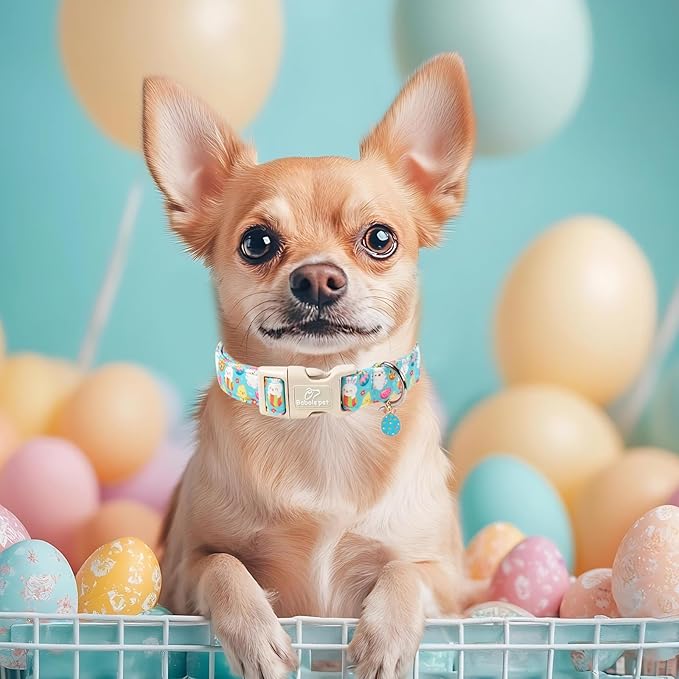 Easter Dog Collar for Medium Dogs - Image 2