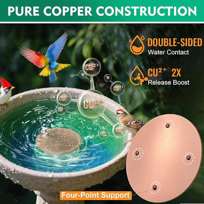 2 Pcs Bird Bath Copper Disk | 99.99% Pure Copper Plate & Birdbath Disk | 0.6mm - Image 4