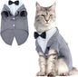 QBLEEV Cat Tuxedo Suit, Cat Halloween Costumes by QBLEEV