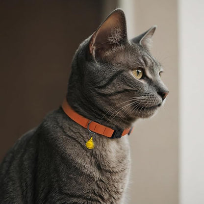 Breakaway Cat Collar Leather - Image 6