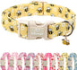 Bee & Daisy Dog Collar for Medium Dogs by Babolepet