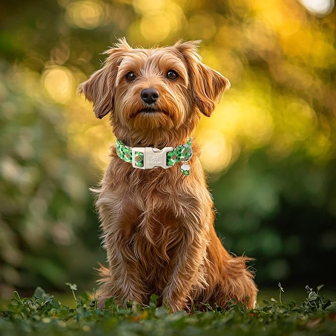 St Patricks Day Dog Collar for Medium Dogs - Image 3