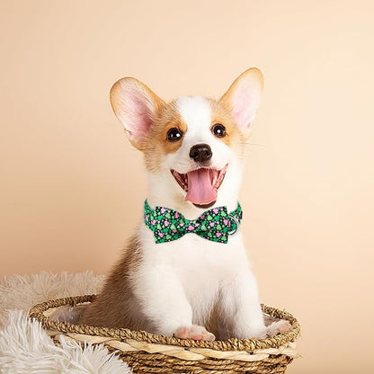MR. CHUBBYFACE St.Patrick's Pink Green Clover Dog Collar - Image 5