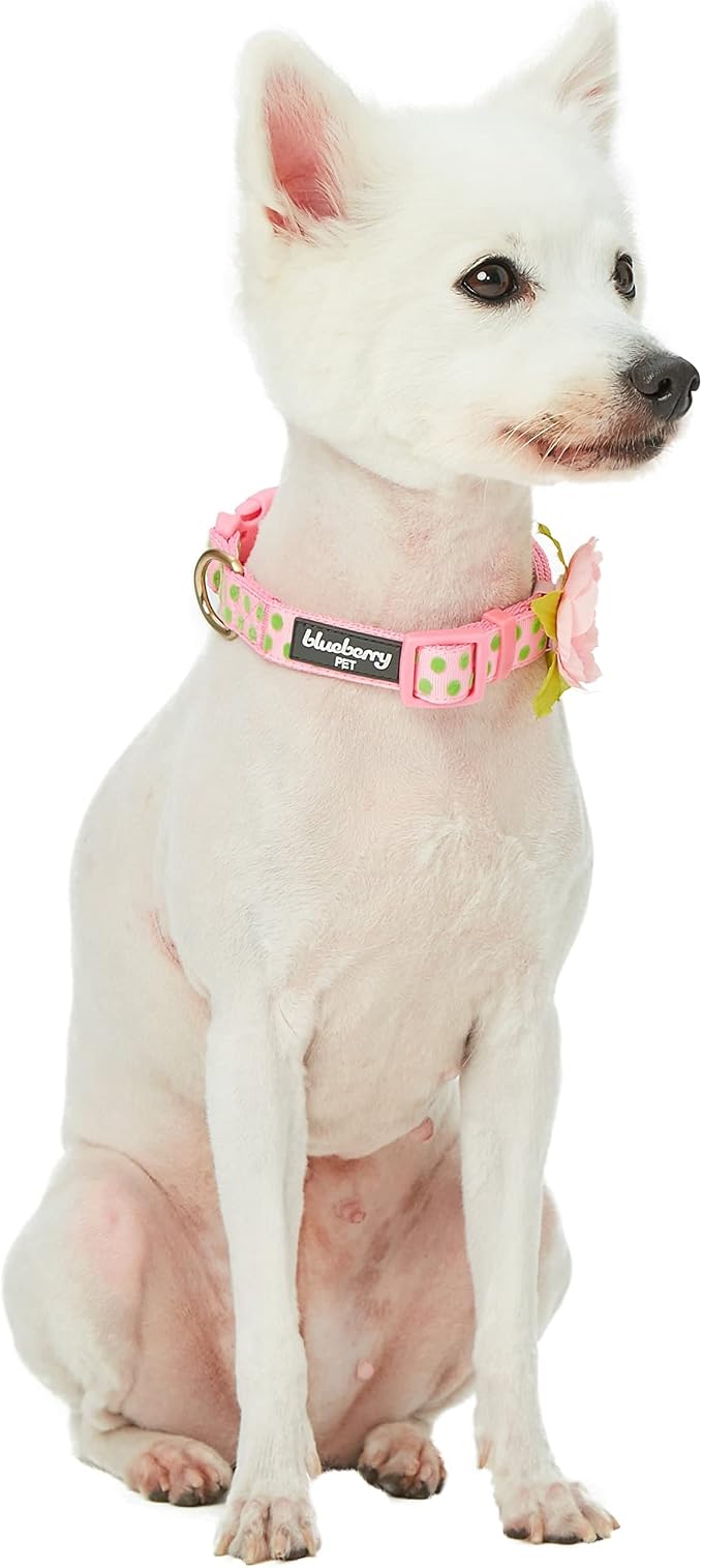 Blueberry Pet Adjustable Flocking Dog Collar - Image 7
