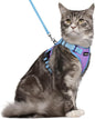 rabbitgoo Cat Harness and Leash Set, Escape Proof Soft Adjustable Vest Harnesses by rabbitgoo