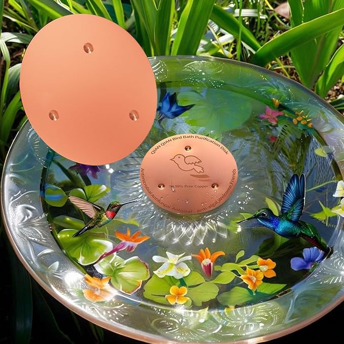 Bird Bath Copper Disk, Copper Bird Bath Purification Disk, Pure Copper Cleaning - Image 4