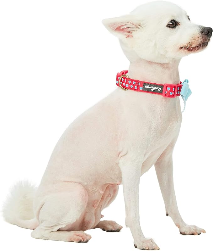 Blueberry Pet Adjustable Flocking Dog Collar - Image 8