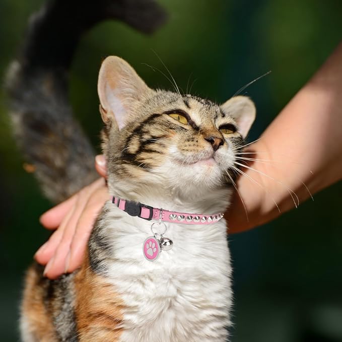 Leather Personalized Breakaway Cat Collar - Image 2