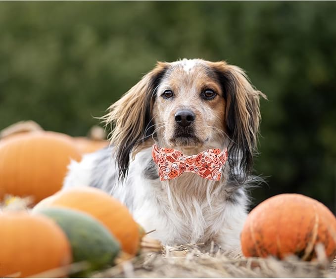 Halloween Dog Collar, Pet Collar Bow Pumpkin Pet Collar Girl Boy Holiday Pet - Image 3
