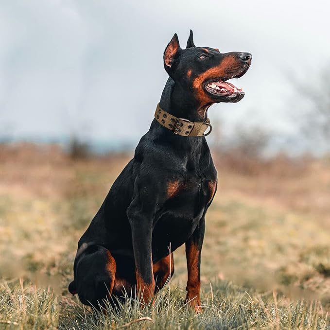 Tactical Dog Collar with Handle, Military Adjustable Heavy Duty Metal Buckle - Image 7