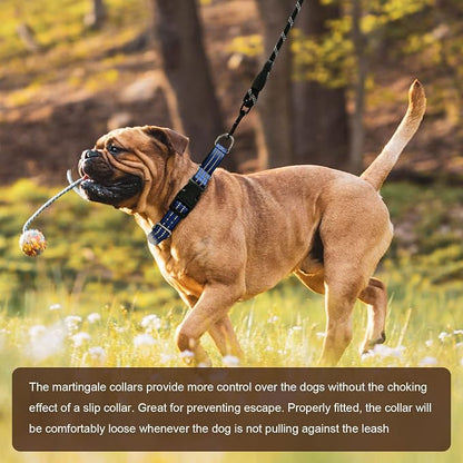 Hikiko Martingale Collar for Dogs Reflective Nylon Dog Collar - Image 5