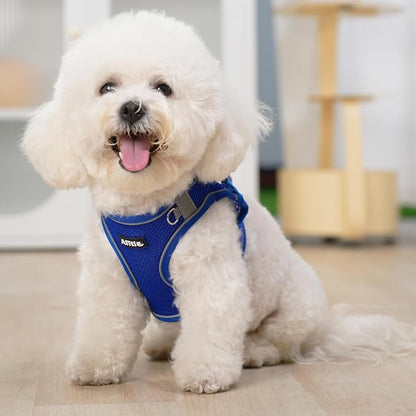 AIITLE Step in Dog Harness and Leash Set - Image 9