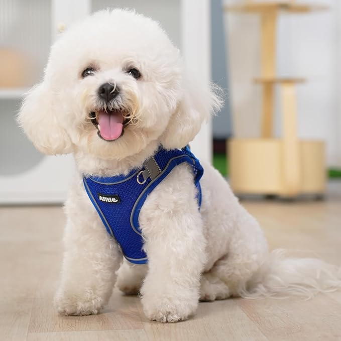 AIITLE Easy Walk Dog Harness and Leash Set - Image 5