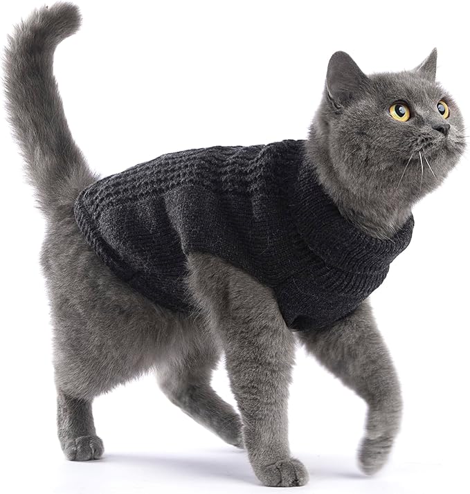 Stretchy Cat Sweater - Image 4
