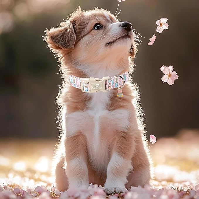 Easter Dog Collar for Puppy Small Dogs - Image 7