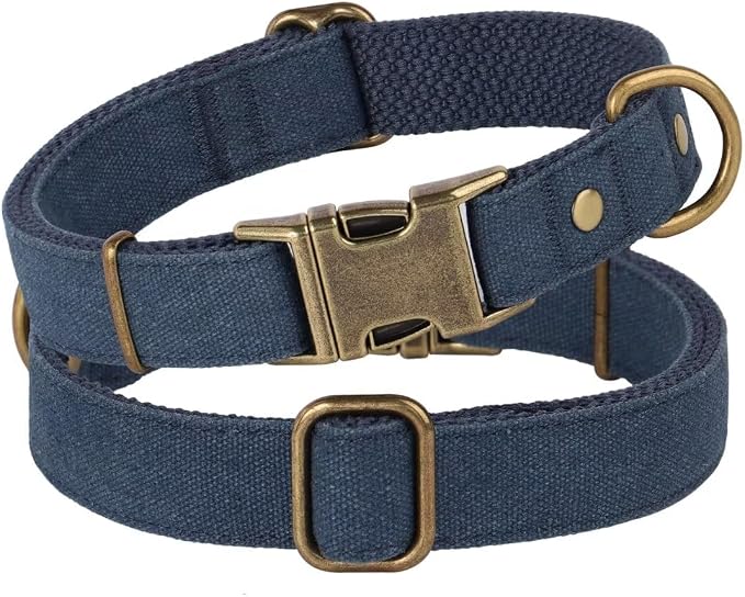 PET ARTIST Dog Collars for Small Dogs, Soft Padded Premium Nylon Dog Collar - Image 7