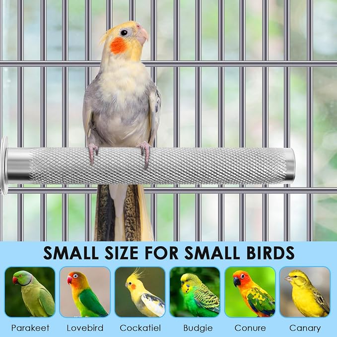 KATUMO Conure Perch - Image 5