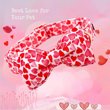 Lionheart Glory Valentine's Day Dog Collar - Image 3