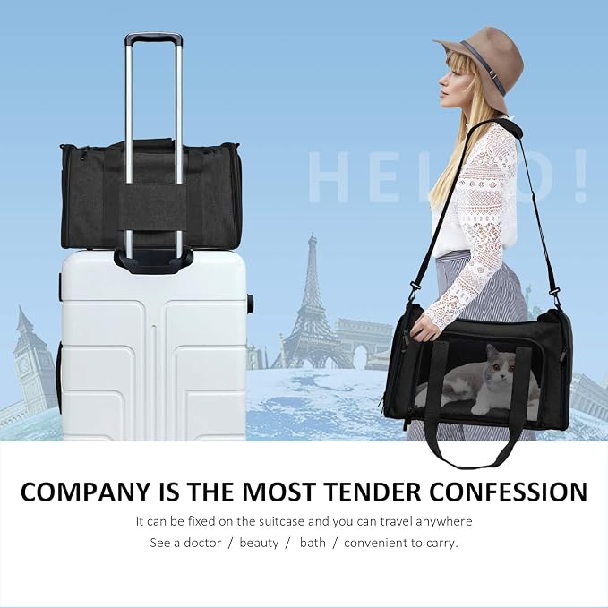 Henkelion Large Soft Sided Cat and Pet Carrier - Image 7