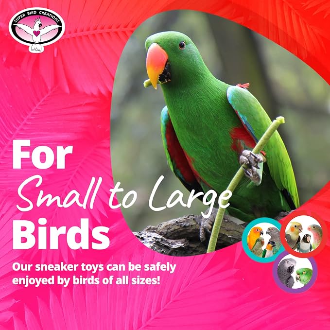 Super Bird Creations SB50011 Sneaker Bird Toy - Image 3