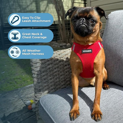 Best Pet Supplies Voyager Step-in Air All Weather Mesh Harness and Reflective - Image 5
