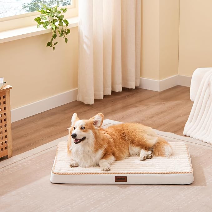 Orthopedic Dog Crate Bed for Large Sized Dog - Image 6