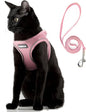 PetiFine Extra Small Step in Dog Harness and Leash Set, Cat Harness and Leash by PetiFine