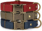 PET ARTIST Dog Collars for Small Dogs, Soft Padded Premium Nylon Dog Collar by PETARTIST