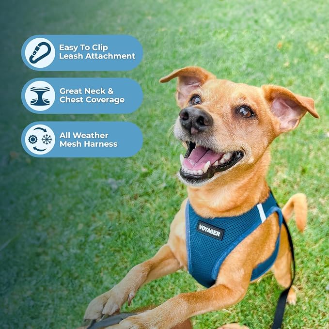 Best Pet Supplies Voyager Step-in Air Harness - Image 3