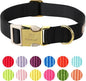 Nylon Dog Collar by Babolepet