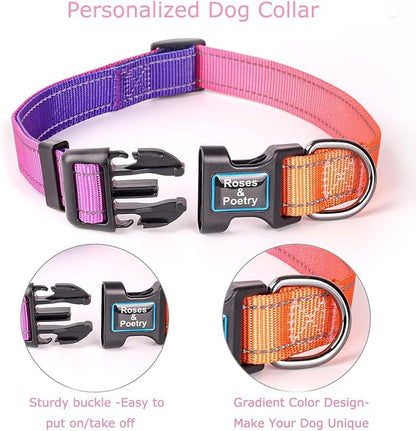 Roses&Poetry Reflective Dog Collar - Image 3