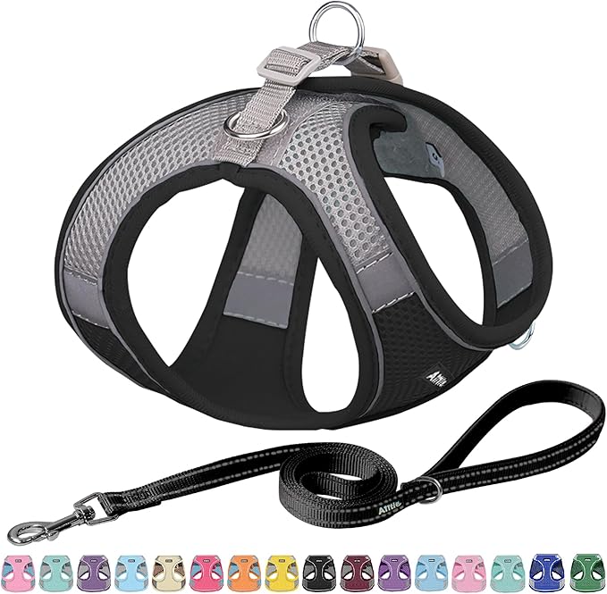 AIITLE No Pull Dog Harness and Leash Set, Step in Adjustable Dog Harness by AIITLE-FORPETSBETTERLIFE