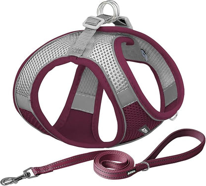 AIITLE Easy Walk Dog Harness and Leash Set by AIITLE-FORPETSBETTERLIFE