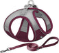 AIITLE Easy Walk Dog Harness and Leash Set by AIITLE-FORPETSBETTERLIFE