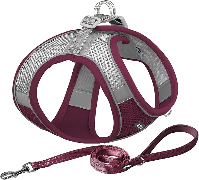 AIITLE Dog Harness, Christmas No-Pull Cat Harness by AIITLE-FORPETSBETTERLIFE