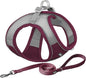 AIITLE Comfortable Dog Harness and Leash Set by AIITLE-FORPETSBETTERLIFE