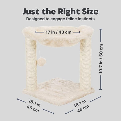 TRIXIE Baza XXL Cat Scratching Posts, Indoor Cat Furniture - Image 3