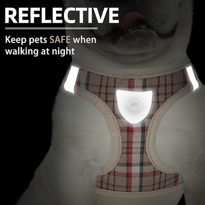 PUPTECK Adjustable Dog Harness Collar and Leash Set Step in No Pull Pet Harness - Image 5