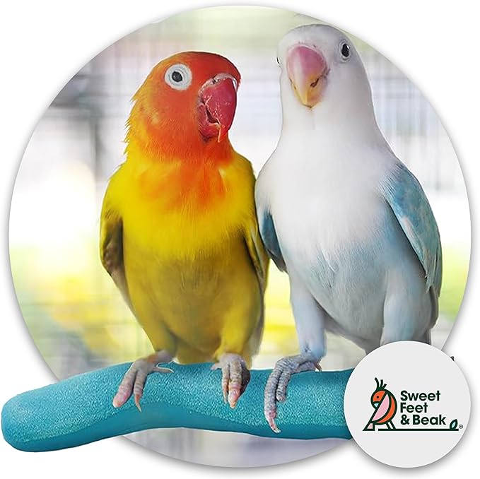 Sweet Feet and Beak Brid Cage Safety Pumice Perch - Image 2