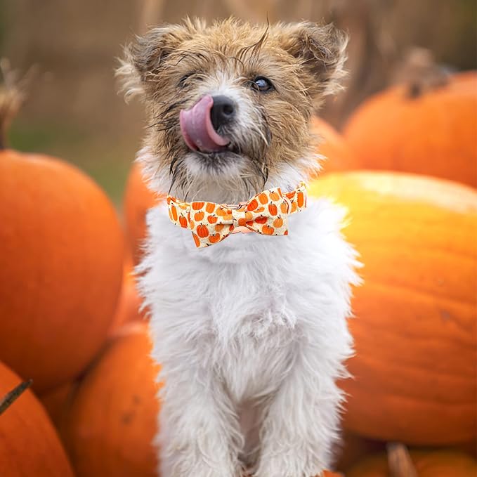 Dog Collar - Halloween Pumpkin Bowtie Pet Collar Gift Soft Bow Collar Pet - Image 6