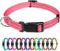 TagME Reflective Nylon Dog Collars, Adjustable Classic Pet Collar by TagME